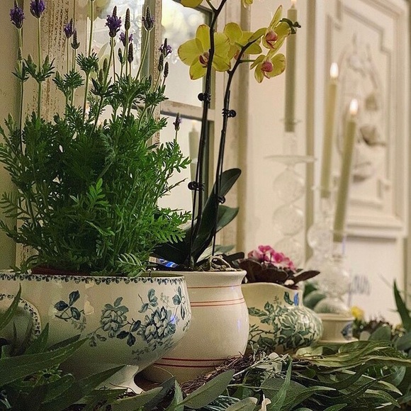 SpringTime🌸🤞 - Picture 9 of 16